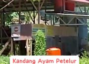 Klarifikasi Direktur Bumdes Tanakaraeng menanggapi pemberitaan, hasilnya Direktur Bumdes tidak mampu jujur