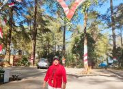 Sidik Dana Kunjungan Pariwisata Hutan Pinus Gowa: “Bocor Pendapatan”.