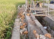 Diduga asal jadi Perencanaan, Lakindo Desak APH Periksa Pelaksana Proyek P3A-TGAI Yang Terbongkar