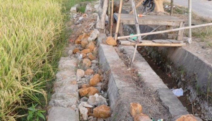 Diduga asal jadi Perencanaan, Lakindo Desak APH Periksa Pelaksana Proyek P3A-TGAI Yang Terbongkar