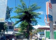 Media Emas TV Enrekang Pertanyakan Sikap Pegawai PLN Terkait Pemutusan Sementara