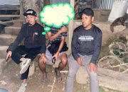 KPU Enrekang Berhentikan Oknum KPPS Tidak Netral, Tegaskan Pentingnya Netralitas Pemilu