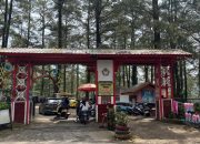 Dugaan Pungli di Hutan Pinus Malino: Investigasi Terungkap Lihat Vidionya.