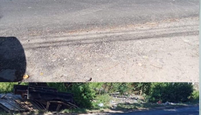 Ketua LSI Soroti Dugaan Kualitas Pengaspalan Bergelombang di Jalur Poros Jeneponto