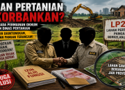 BPN dan Dinas Pertanian Diduga Tutup Mata, Lahan Produktif Terus Beralih Fungsi