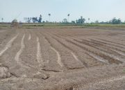 Pemanfaatan Dukungan Kegiatan Tambang Wujudkan Percetakan Sawah, Dukung Ketahanan Pangan di Takalar
