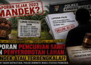 Kasus Dugaan Pencurian Sawit dan Penyerobotan Lahan di Konsel Disorot, Apa Kabar Penyidik?