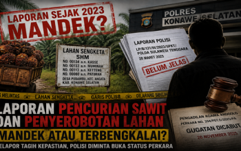 Kasus Dugaan Pencurian Sawit dan Penyerobotan Lahan di Konsel Disorot, Apa Kabar Penyidik?