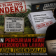 Kasus Dugaan Pencurian Sawit dan Penyerobotan Lahan di Konsel Disorot, Apa Kabar Penyidik?
